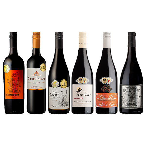 すべて金賞受賞 フランスフルボディ赤ワイン6本セット オリジナル French Gold Medal Receiving Fullbody Wine 6 Bottle Set その他 Aeon De Wine