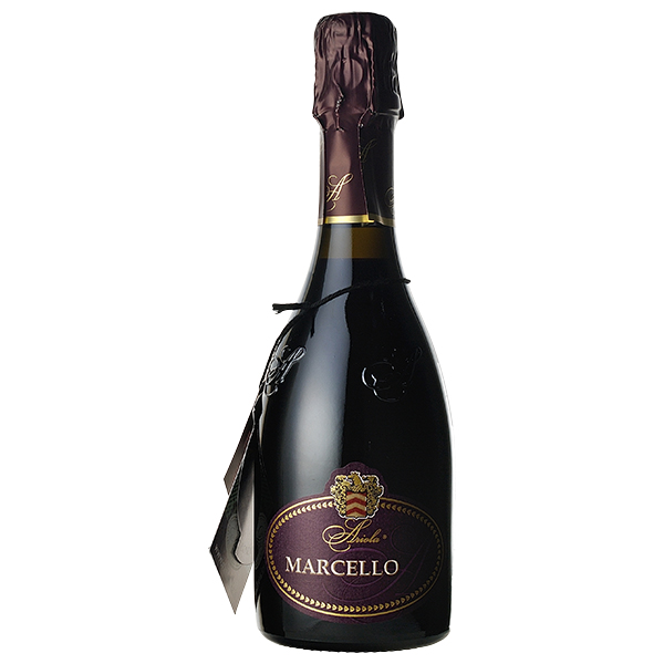 ハーフボトル】ランブルスコ・マルチェッロ・ハーフ アリオラ(Lambrusco MARCELLO Half bottle  Aliora)(エミーリア・ロマーニャ) AEON de WINE