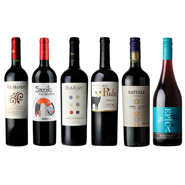セット】厳選チリ赤ワイン6本セット / オリジナル◎(Chilean red wine