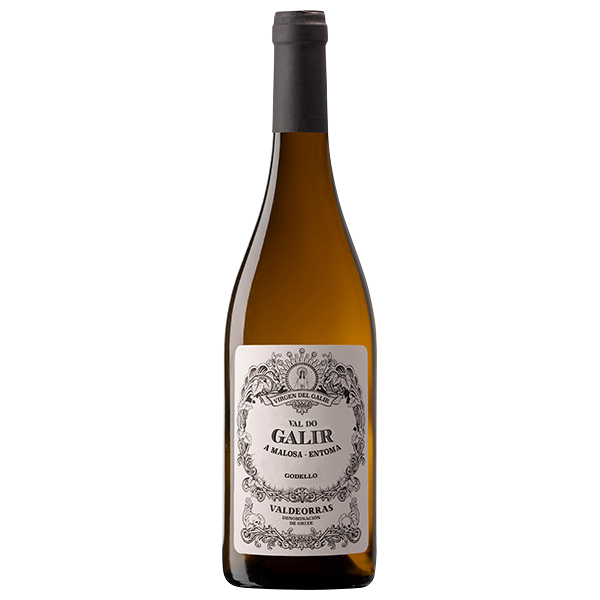 2022 バル・ド・ガリル ゴデーリョ ビルヘン・デル・ガリル(VAL DO GALIR GODELLO 2022)(その他スペイン) AEON de WINE