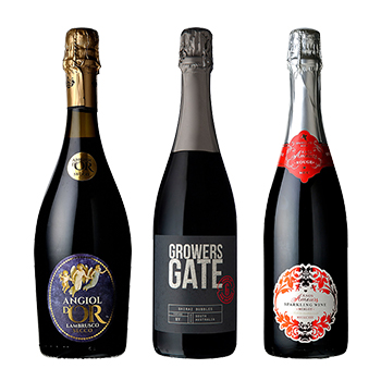 ѡ 磻 ѡƥˤᡪҲˢ3ܥå / ꥸʥ(Party Red SParkling wine 3 bottlS Set) ¾ ɸ 2250ml