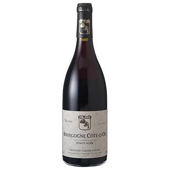 ドメーヌ･ファビアン･コシュ ブルゴーニュ コート･ドール ピノ･ノワール 2022(Domaine Fabien Coche Bourgogne Cote d'Or Pinot Noir 2022)