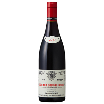 2019 ドミニク･ローラン コトーブルギニョン ルージュ / ドミニク･ローラン ◎(Dominique Laurent COTEAUX BOURGUIGNONS 2019 ◎)