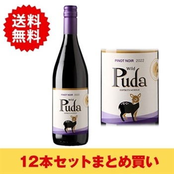 【まとめ買い・12本】プダ ピノ･ノワール / アレスティ(Puda Pinot Noir)