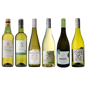 すべて金賞受賞 フランス白ワイン6本セット / オリジナル ◎(Gold Award White Wine of French 6 bottle set ◎)