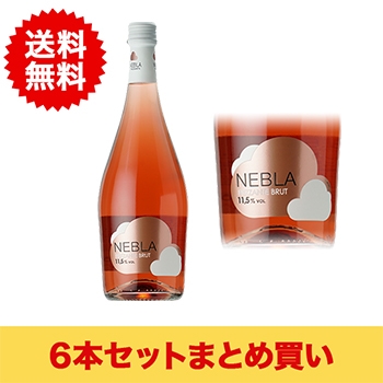 【まとめ買い･6本】ネブラ フリザンテ ブリュット ロゼ / ヴィセンテ･ガンディア◎(Nebla Frizzante Brut rose◎)