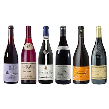 フランス ピノ・ノワール 6本セット