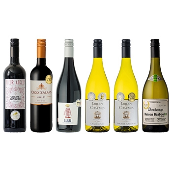 【セット】全部で6冠！すべて金賞受賞 フランス産赤白ワイン6本セット / オリジナル(French Red & White wine 6 bottles set)
