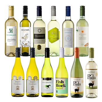 【セット】フランス産 金賞入り! デイリーワイン 白 12本セット / オリジナル◎(Gold Medal Daily Wine White 12 bottles set◎)