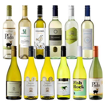 【セット】フランス 金賞入り! デイリーワイン 白 12本セット / オリジナル◎(Gold Medal Daily Wine White 12 bottles set◎)