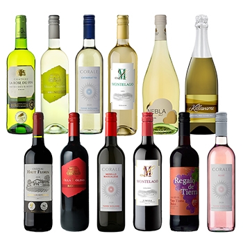 【セット】全部で3冠!金賞入り! デイリーワインバラエティ 12本セット / オリジナル(Gold Medal Daily Wine Variety 12 bottles set)