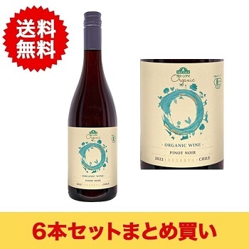 【まとめ買い・6本】オーレゼルヴァ ピノ･ノワール / トップバリュグリーンアイ(O RESERVA PINOT NOIR)