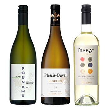 【セット】バイヤー厳選！ソーヴィニヨンブラン飲み比べ  3本セット / オリジナル★(Buyer's Selection! Sauvignon Blanc Tasting Set of 3)