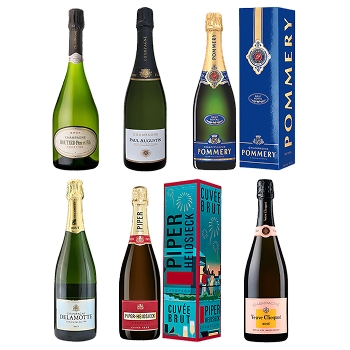 【セット】至福のノンヴィンテージシャンパーニュ 6本セット★(Blissful non-vintage champagne 6-bottle set)