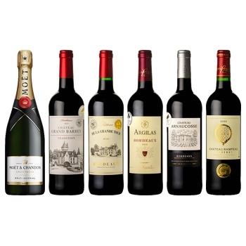 【セット】モエシャンドンと金賞ワイン ６本セット / オリジナル(Moet & Chandon and Gold Medal Wines 6-Bottle Set)