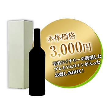 お楽しみBOX 1本 3,000円 / オリジナル ◎(Wine Lucky BOX 3000 ◎)