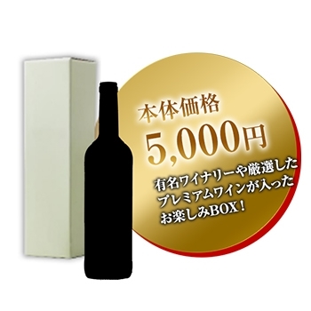 お楽しみBOX 1本 5,000円 / オリジナル(Wine Lucky BOX 5000)