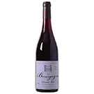 2019 ドメーヌ･ド･マレショード ブルゴーニュ･ピノノワール / ドメーヌ･ド･マレショード ◎(DOMAINE DES MARECHAUDES BOURGOGNE PINOT NOIR 2019 ◎)