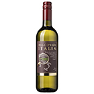 ディスカバー･イタリア サンジョヴェーゼ･イン･ビアンコ / テッレ･チェヴィコ(Discover Italia Bianco Rubicone)