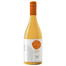 センスス・オーガニック・オレンジ　6か月醸し / コセチェロス・イ・クリアドーレス(SENSUS Organic Orange Wine)