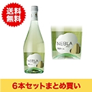 【まとめ買い･6本】ネブラ フリザンテ ブリュット ホワイト / ヴィセンテ･ガンディア(Nebla Frizzante Brut white)