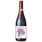 【予約】シャトー･カンボン ボジョレー･ヌーヴォー 2026(Chateau Cambon Beaujolais Nouveau 2026)