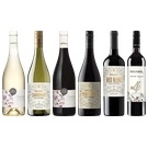 【セット】オーガニックワイン 世界6本飲み比べセット(Organic Wine World 6-Bottle Tasting Set)