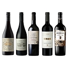 【セット】バイヤーおすすめ！世界の赤ワイン 5本セット / オリジナル★(Buyer's recommendation! 5-bottle set of red wines from around the world)