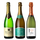 【セット】瓶内2次発酵 スパークリング 3本セット / オリジナル★(Bottled 2nd fermentation sparkling wine 3-bottle set)