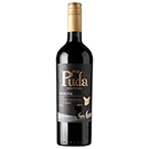 プダ レゼルヴァシラー カベルネ・ソーヴィニヨン / アレスティ(PUDA RESERVA Shirah Cabernet Sauvignon)