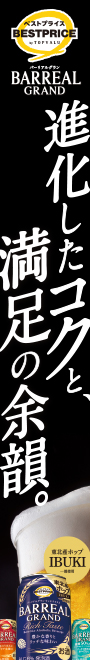 バーリアル