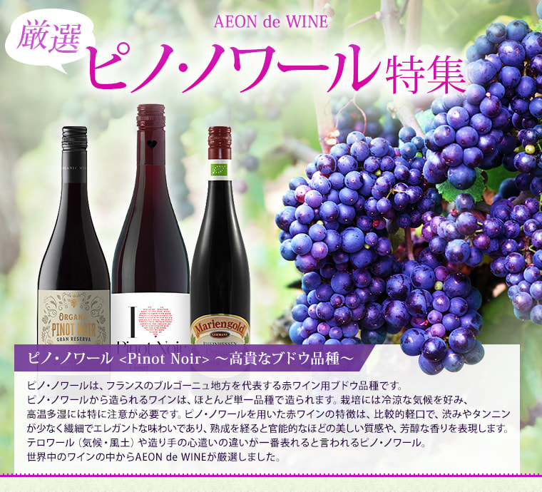 AEON de WINE 厳選ピノ・ノワール特集