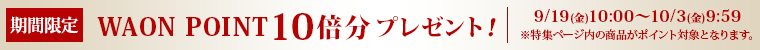 期間限定値下げ！