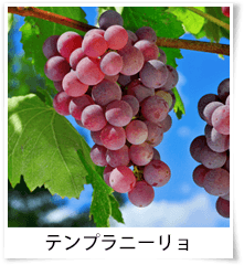 テンプラニーリョ