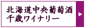 北海道中央葡萄酒 千歳ワイナリー