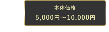 本体価格 5,000-1,0000