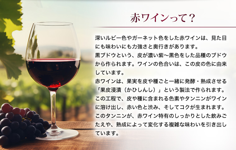 AEON de WINE ～深まる味わい好きな品種を飲み比べ～ 赤ワイン特集