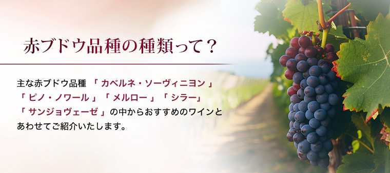 AEON de WINE ～深まる味わい好きな品種を飲み比べ～ 赤ワイン特集