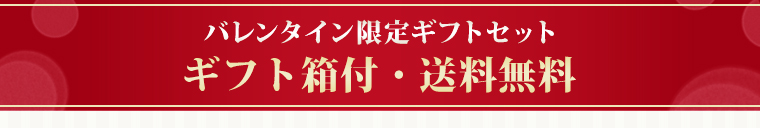 バレンタイン限定ギフトセット ギフト箱付・送料無料