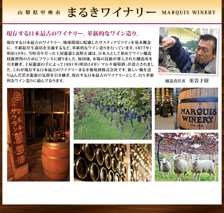 現存する日本最古のワイナリー。革新的なワイン造り。
  現存する日本最古のワイナリー。地球環境に配慮したサスティナビリティを基本概念に、 不耕起草生栽培を実施するなど、革新的なワイン造りを行っています。1877年(明治10年)、当時青年だった土屋龍憲と高野正誠は、日本人として初めてワイン醸造技術習得のためにフランスに渡りました。帰国後、本場の技術が導入された醸造所を引き継ぎ、土屋龍憲の手によって1891年(明治24年)「マルキ葡萄酒」が設立されました。これが現存する日本最古のワイナリーまるき葡萄酒株式会社です。新しい風を送り込んだ若き龍憲の気質を引き継ぎ、現存する日本最古のワイナリーとして、日々革新的なワイン造りに励んでおります。