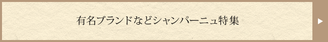 有名ブランドなどシャンパーニュ特集