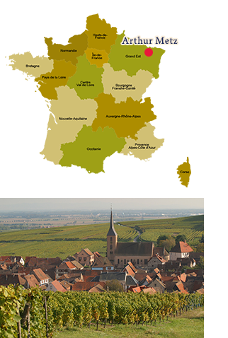 Arthur Metz アーサーメッツ 特集 Aeon De Wine