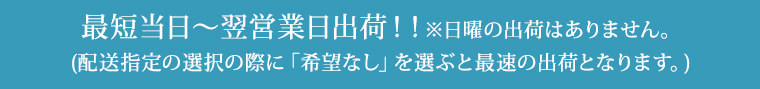 最短当日～翌営業日出荷！！※日曜の出荷はありません。
