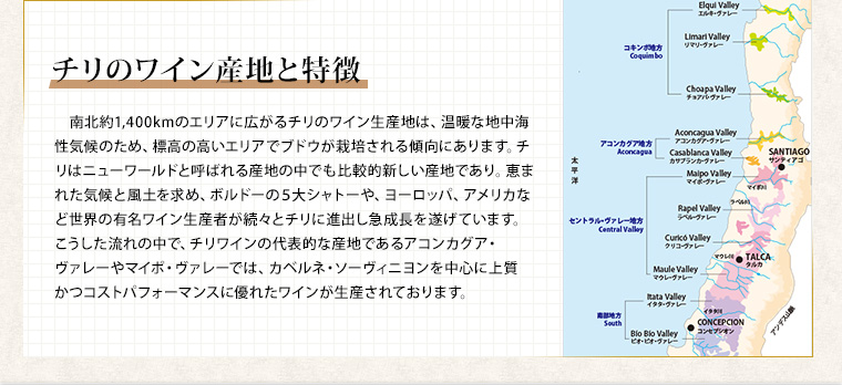 チリのワイン産地と特徴