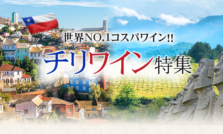 世界NO.1コスパワイン！！チリワイン特集
