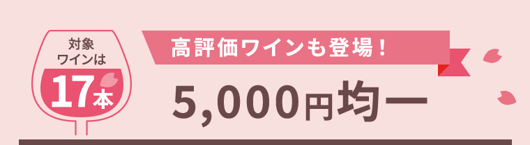 ＼対象ワインは 17本／高評価ワインも登場！5,000円均一
