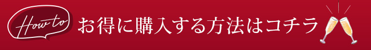 お得に購入する方法はコチラ