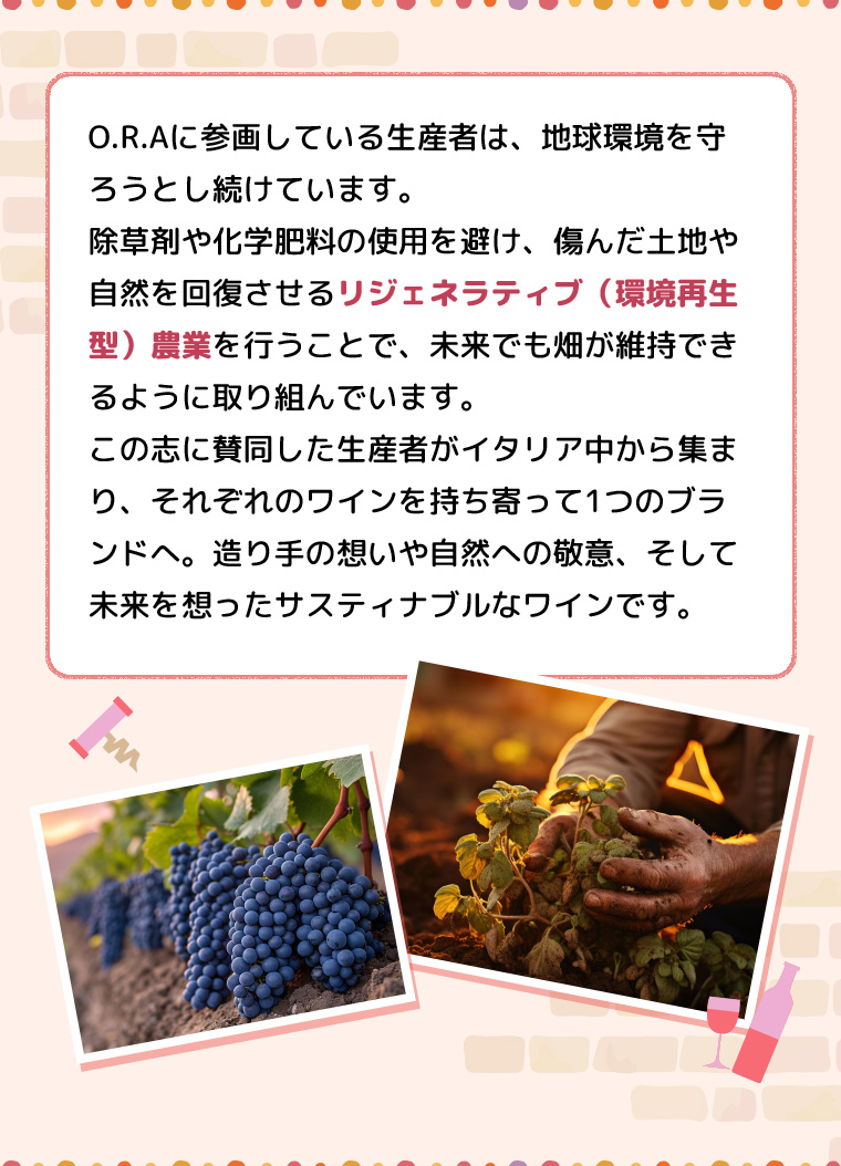 O.R.Aに参画している生産者は、地球環境を守ろうとし続けています。