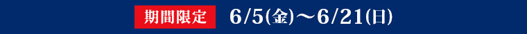 期間限定