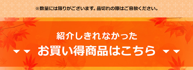 紹介しきれなかった お買い得商品はこちら